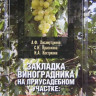 Закладка виноградника на приусадебном участке