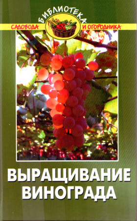 Вирощування винограду