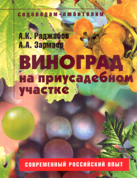 Виноград на присадибній ділянці