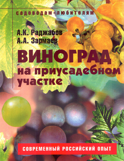 Виноград на присадибній ділянці