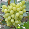 1Ландыш2 (3)d0.jpg